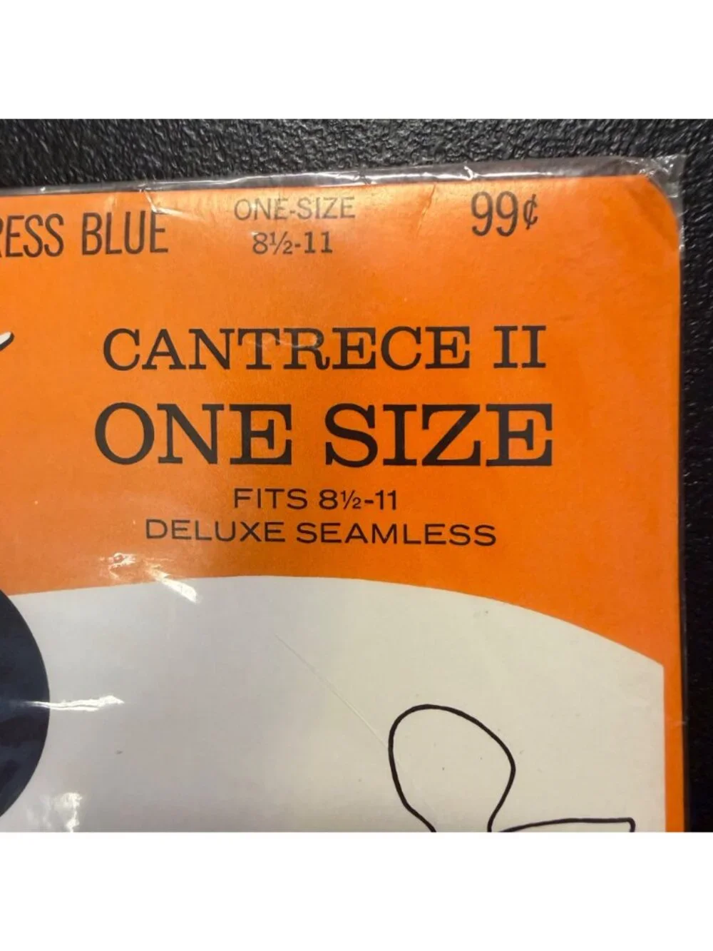 VTG Ballet Cantrece II One Size Pantyhose Dress Blue NOS Burlington Hosiery USA